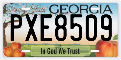 GA license plate PXE8509