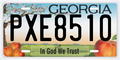 GA license plate PXE8510