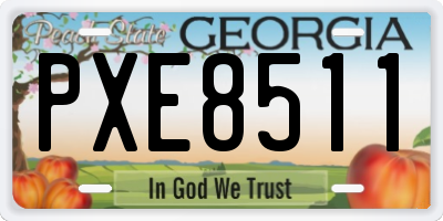 GA license plate PXE8511