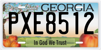 GA license plate PXE8512