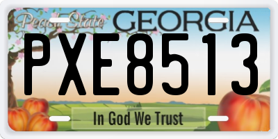 GA license plate PXE8513