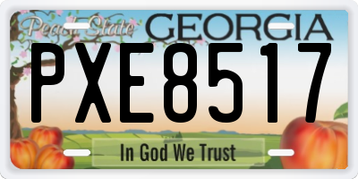 GA license plate PXE8517