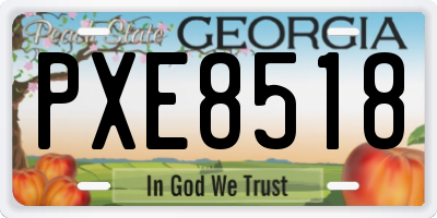 GA license plate PXE8518