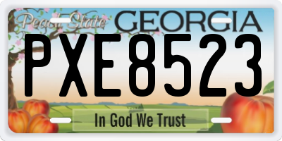 GA license plate PXE8523
