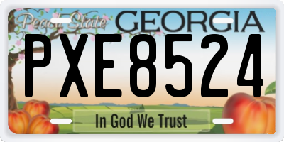 GA license plate PXE8524
