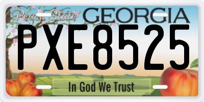GA license plate PXE8525