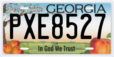 GA license plate PXE8527