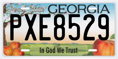 GA license plate PXE8529