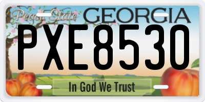 GA license plate PXE8530