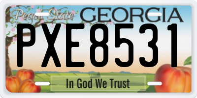 GA license plate PXE8531