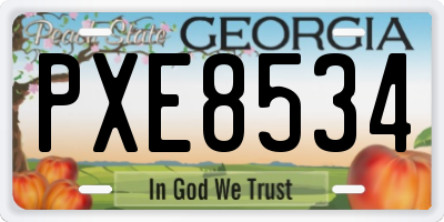 GA license plate PXE8534