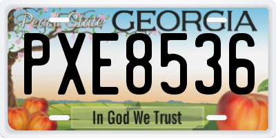 GA license plate PXE8536