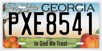 GA license plate PXE8541