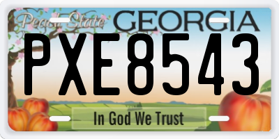GA license plate PXE8543