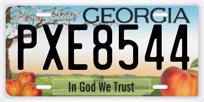 GA license plate PXE8544