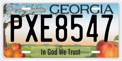 GA license plate PXE8547