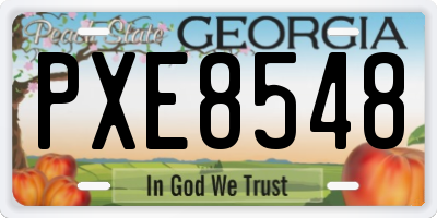 GA license plate PXE8548
