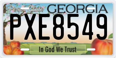 GA license plate PXE8549