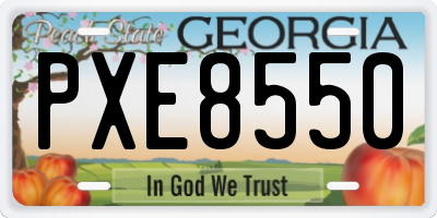 GA license plate PXE8550