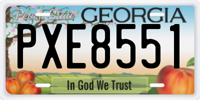 GA license plate PXE8551