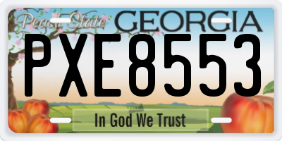 GA license plate PXE8553