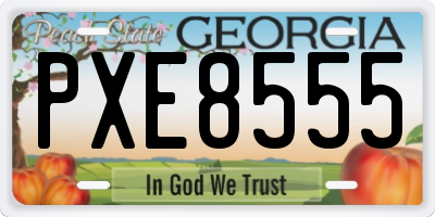 GA license plate PXE8555