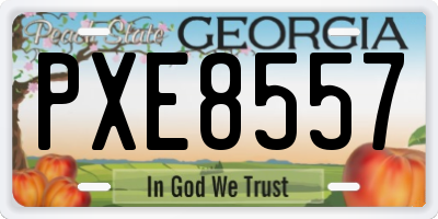 GA license plate PXE8557