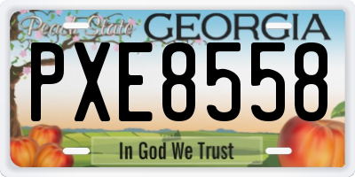 GA license plate PXE8558