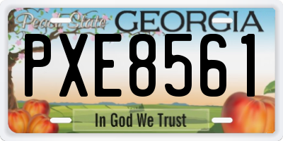 GA license plate PXE8561