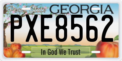 GA license plate PXE8562