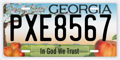 GA license plate PXE8567