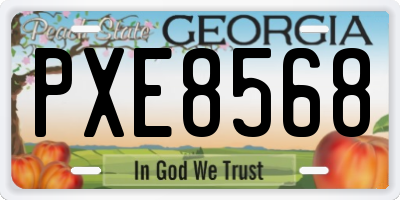 GA license plate PXE8568