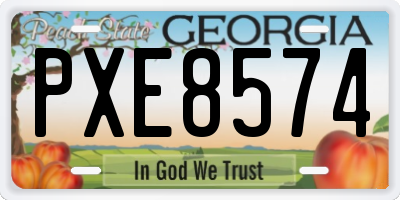 GA license plate PXE8574