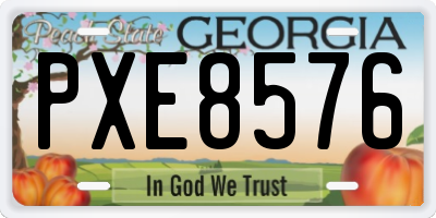 GA license plate PXE8576