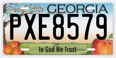 GA license plate PXE8579