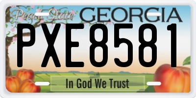 GA license plate PXE8581