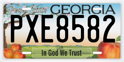 GA license plate PXE8582
