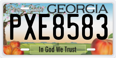 GA license plate PXE8583