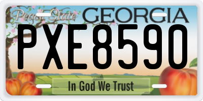 GA license plate PXE8590