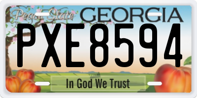 GA license plate PXE8594