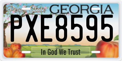 GA license plate PXE8595