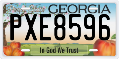 GA license plate PXE8596