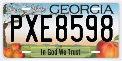 GA license plate PXE8598