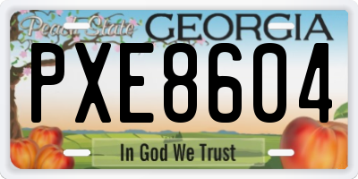 GA license plate PXE8604