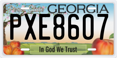 GA license plate PXE8607