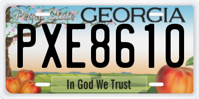 GA license plate PXE8610