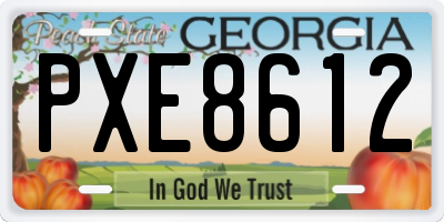 GA license plate PXE8612