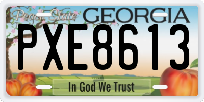 GA license plate PXE8613