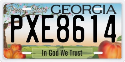 GA license plate PXE8614
