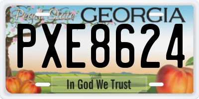 GA license plate PXE8624